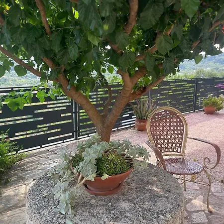 Horizon ゲストハウス