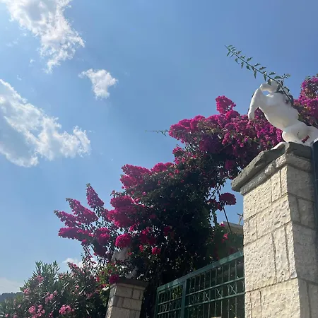 Horizon 3* ヒマラ