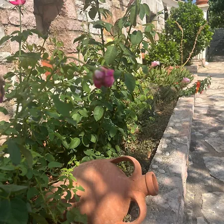 Гостевой дом Horizon